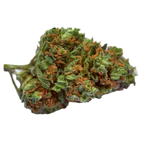 Bubba Kush Weed Strain Bubba Kush Weed Strain