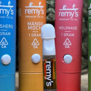 Buy Remy 1G Disposable UK