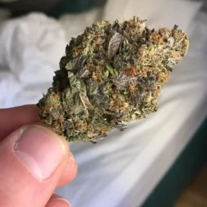 Buy Pink Starburst Strain UK