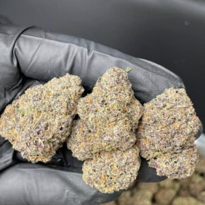 Buy Zaza strain UK